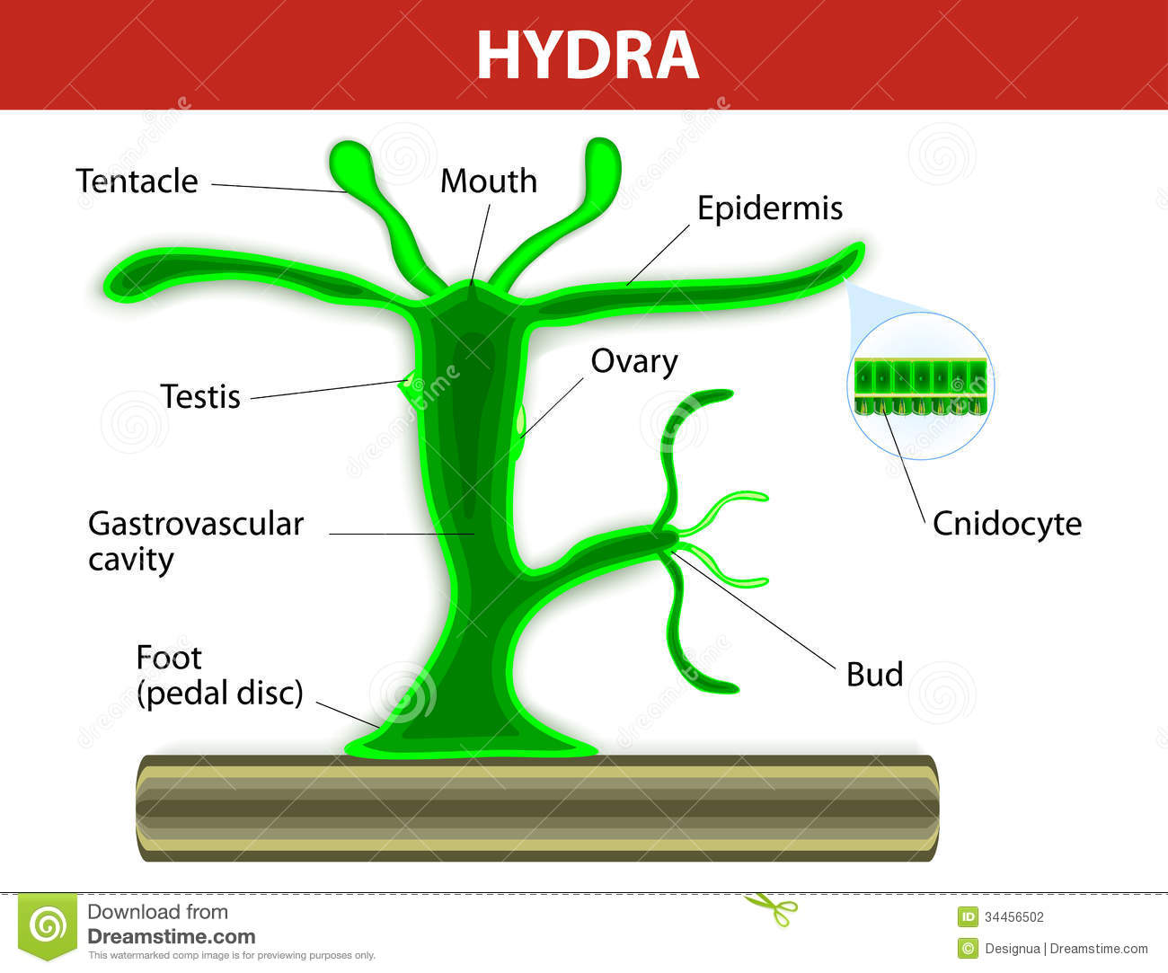 Hydra ссылка на сайт рабочая